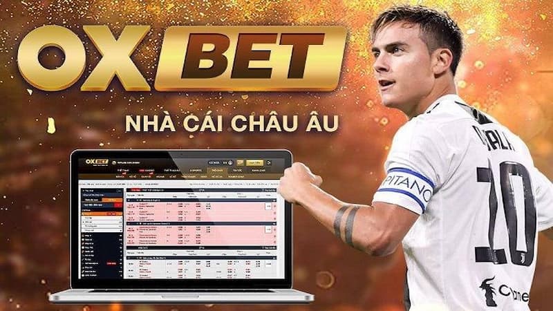 Tính hợp pháp của nền tảng