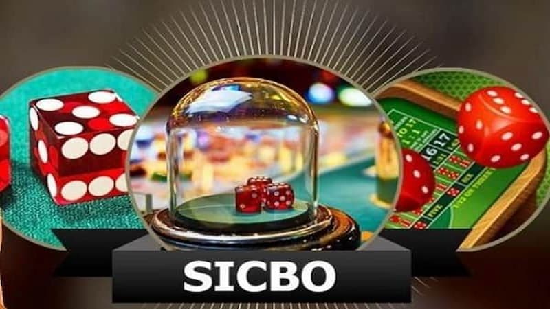 Tìm hiểu Sicbo là gì?