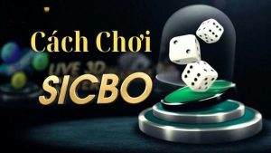 Cách chơi Sicbo trực tuyến cơ bản