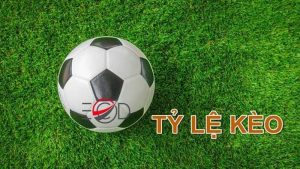 Giới thiệu về tỷ lệ cá cược