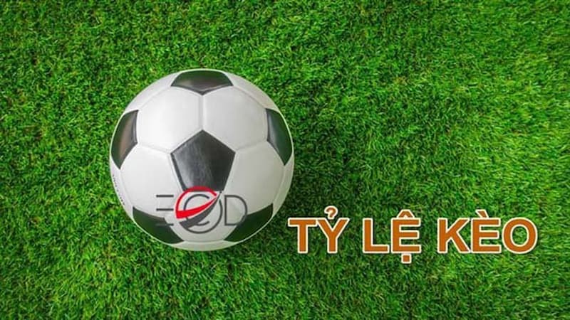 Giới thiệu về tỷ lệ cá cược